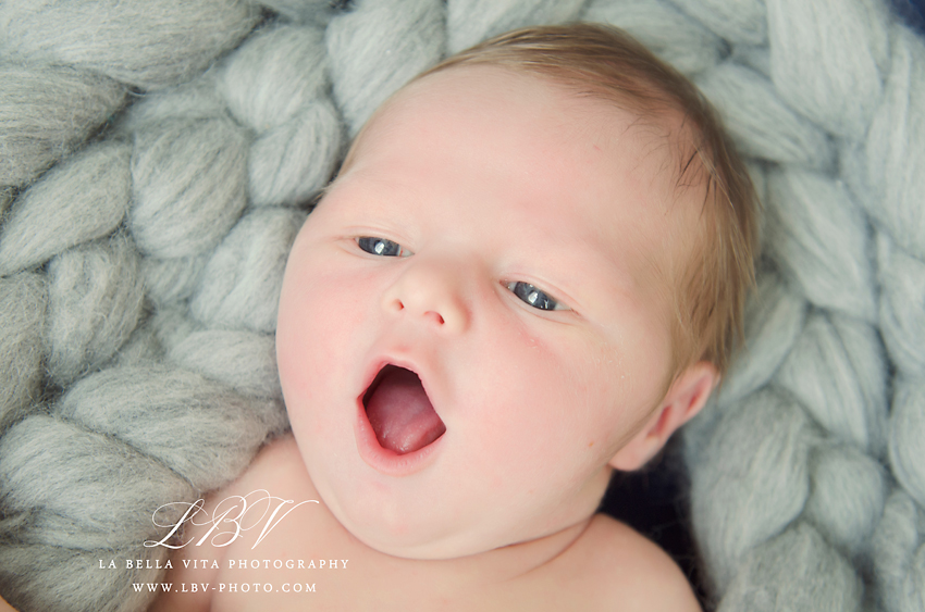 newborn photography delaware