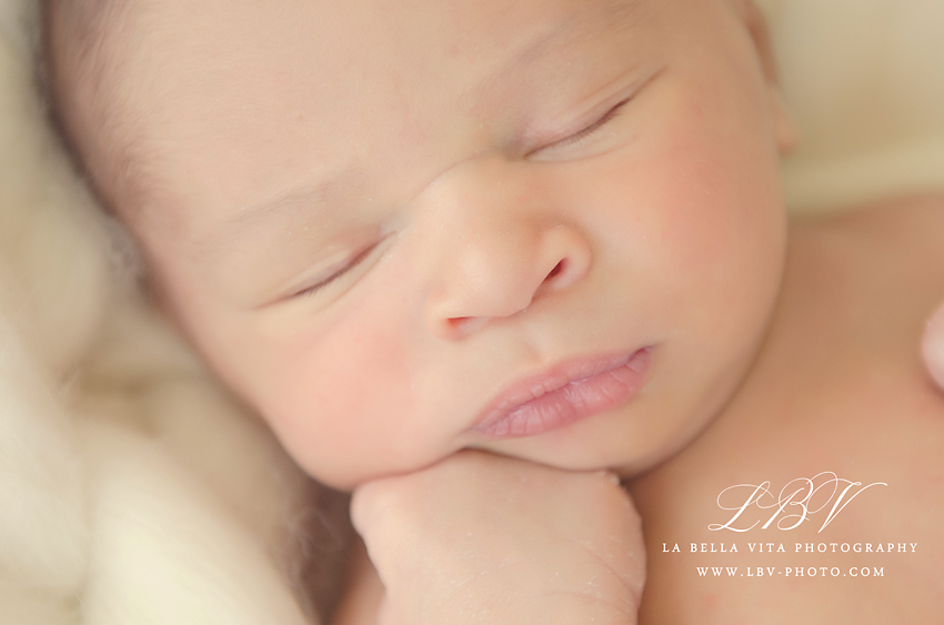 newborn photography delaware